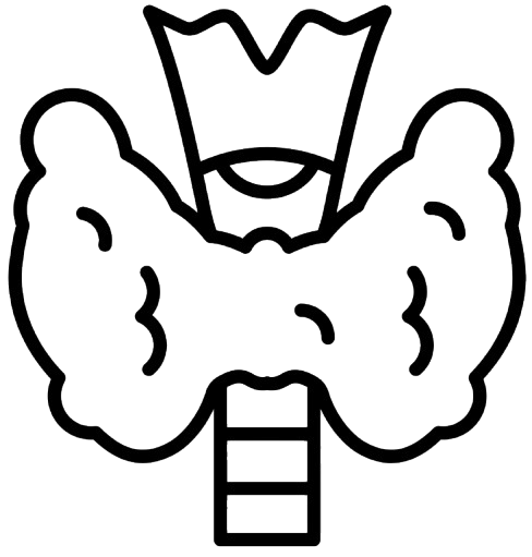 Oncology (Medical)